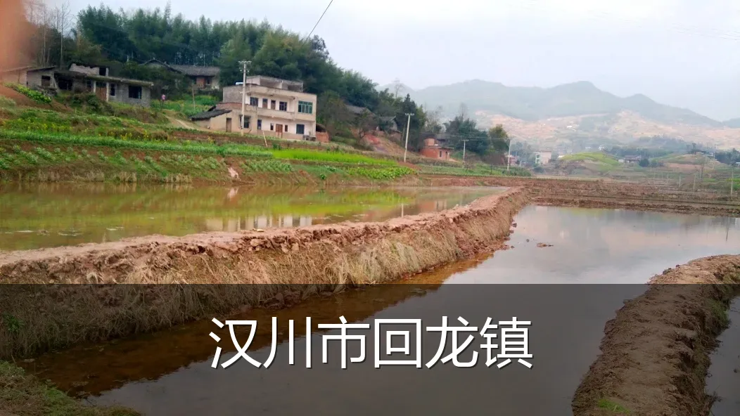 汉川市回龙镇