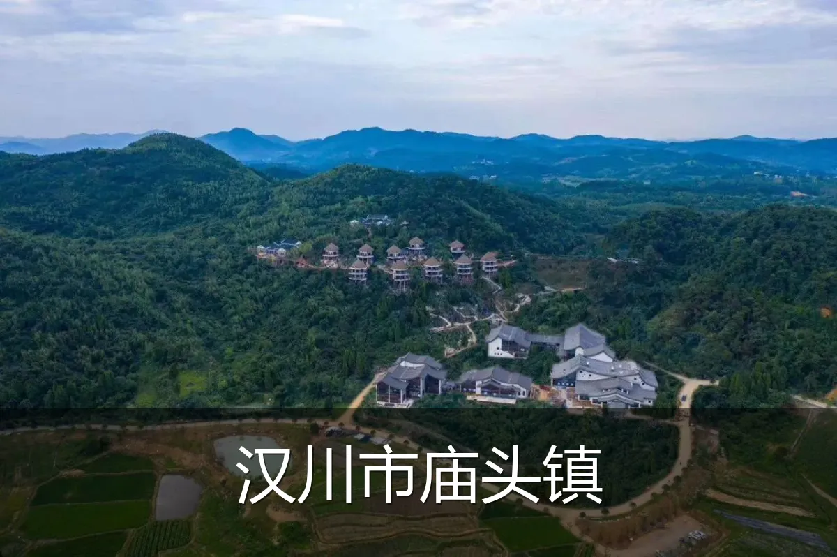 汉川市庙头镇