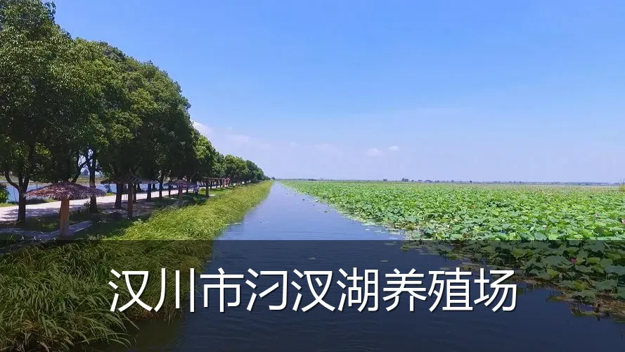 汉川市汈汊湖养殖场