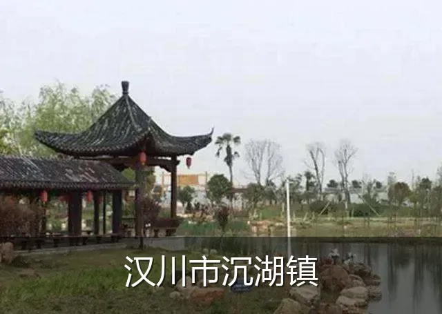 汉川市沉湖镇
